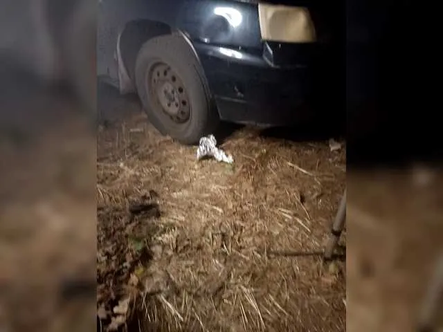 Artem29aAlisa29 Image 4