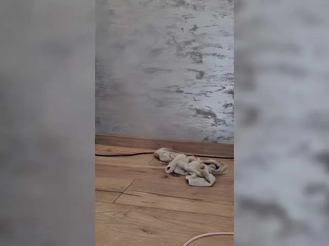 CannabisQueen Image 6