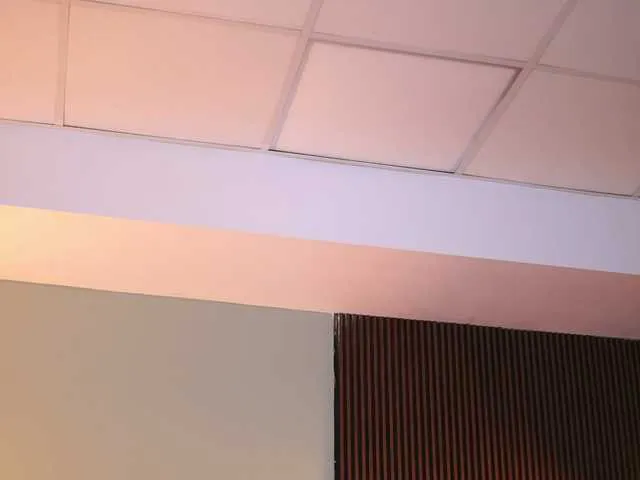 CherrySelena Image 18