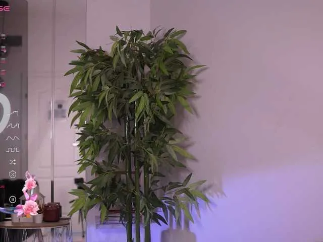 RubyxBanks Image 19