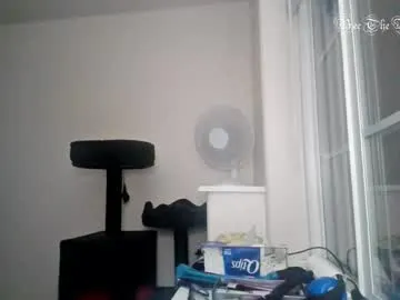 beethebumblebee Image 2