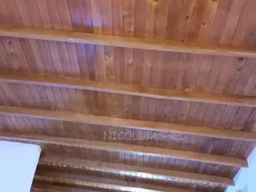 nicollbashel Image 18